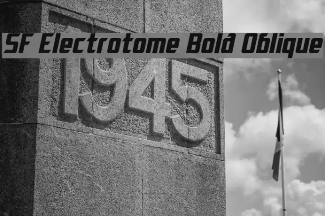 SF Electrotome Bold Oblique フォント examples