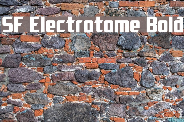SF Electrotome Bold Font examples