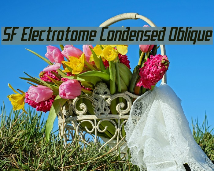 SF Electrotome Condensed Oblique Font examples