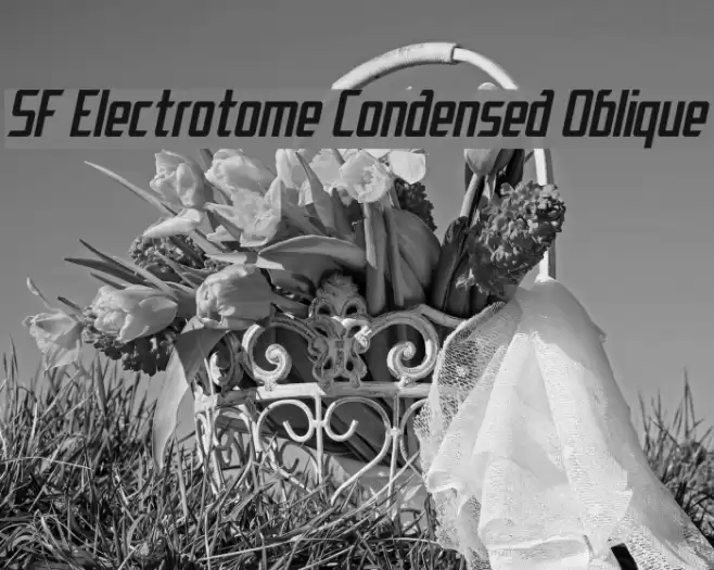 SF Electrotome Condensed Oblique フォント examples