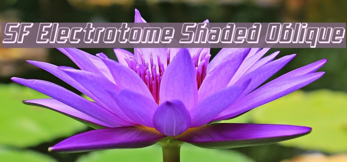 SF Electrotome Shaded Oblique Font examples