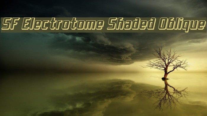 SF Electrotome Shaded Oblique Font examples