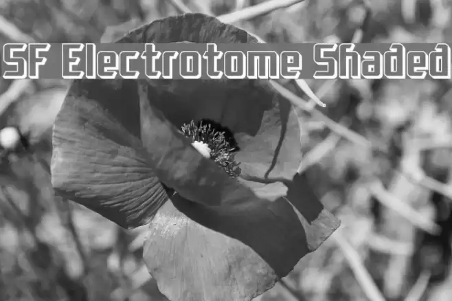SF Electrotome Shaded Шрифта examples