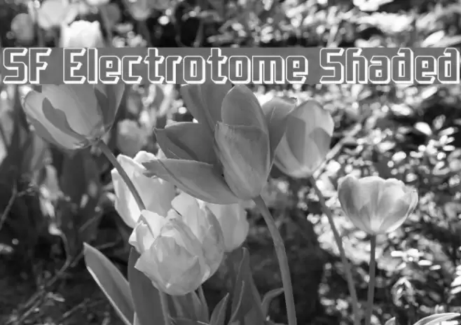 SF Electrotome Shaded Шрифта examples
