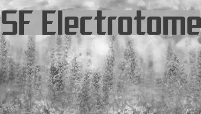 SF Electrotome フォント examples