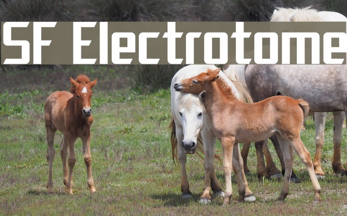 SF Electrotome Font examples