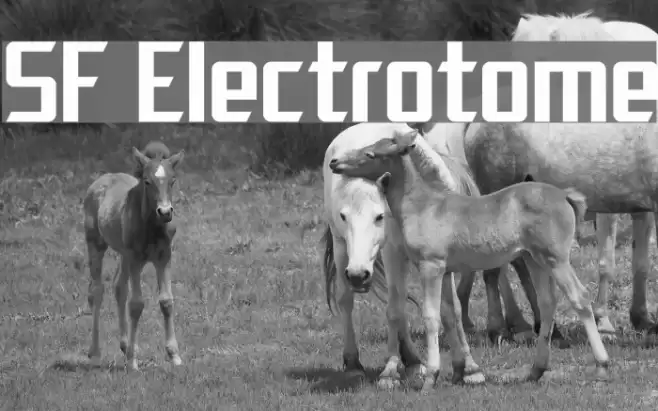 SF Electrotome フォント examples