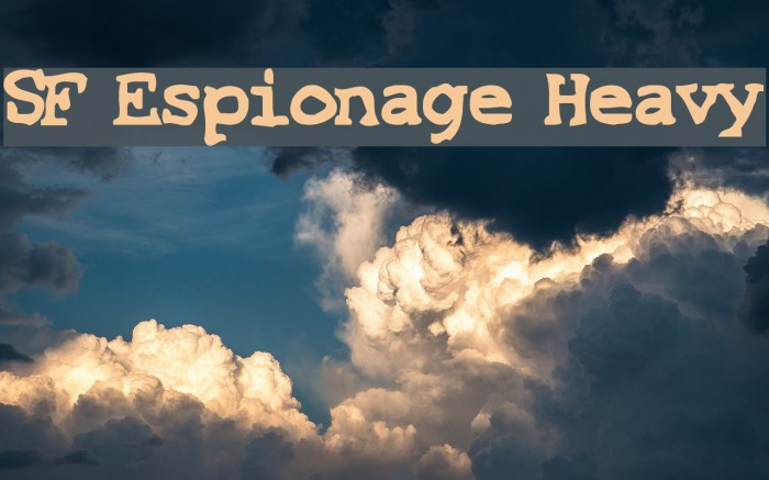 SF Espionage Heavy Font examples