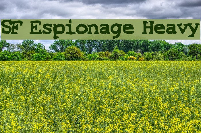 SF Espionage Heavy Font examples