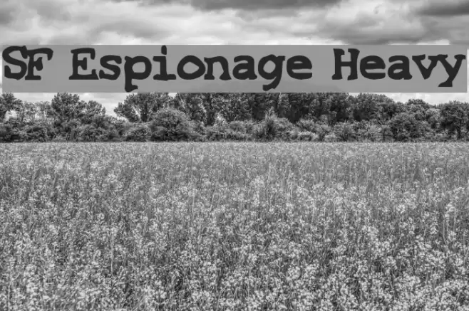 SF Espionage Heavy フォント examples