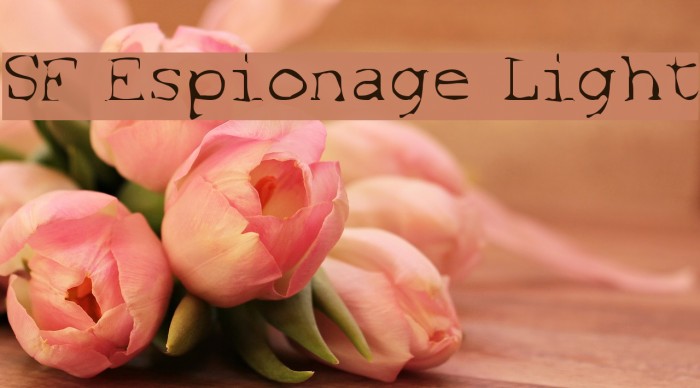SF Espionage Light フォント examples