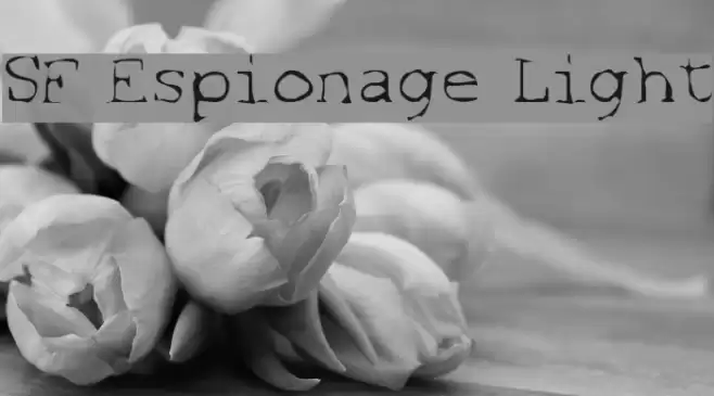 SF Espionage Light Schriftart examples