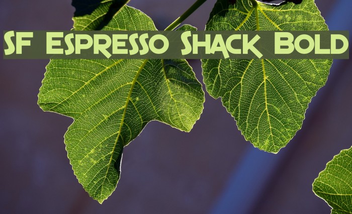 SF Espresso Shack Bold Font examples