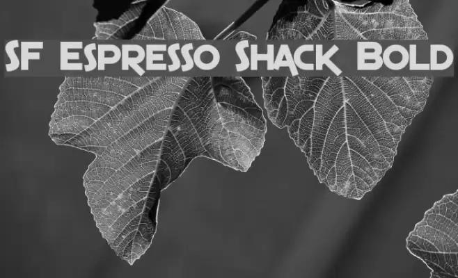SF Espresso Shack Bold Fuentes examples