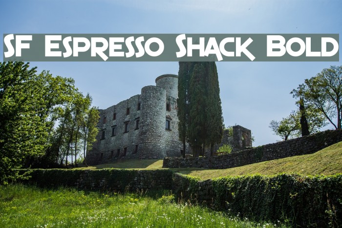 SF Espresso Shack Bold Font examples