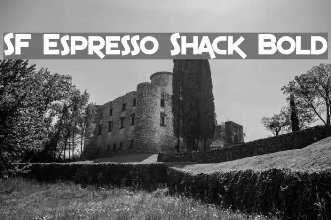 SF Espresso Shack Bold Fuentes examples