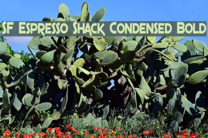 SF Espresso Shack Condensed Bold Font examples