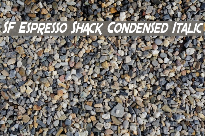 SF Espresso Shack Condensed Italic フォント examples