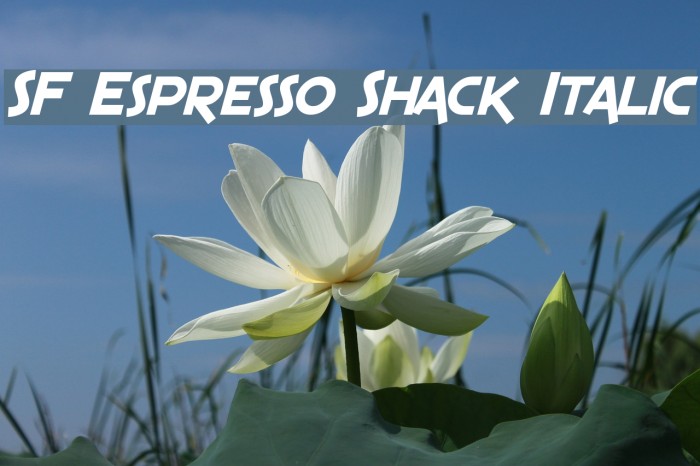 SF Espresso Shack Italic Font examples