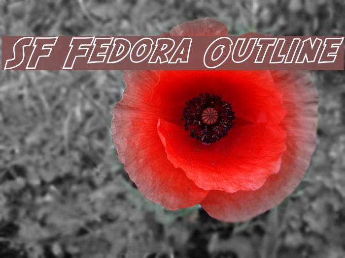 SF Fedora Outline Font examples
