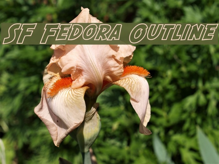 SF Fedora Outline Font examples
