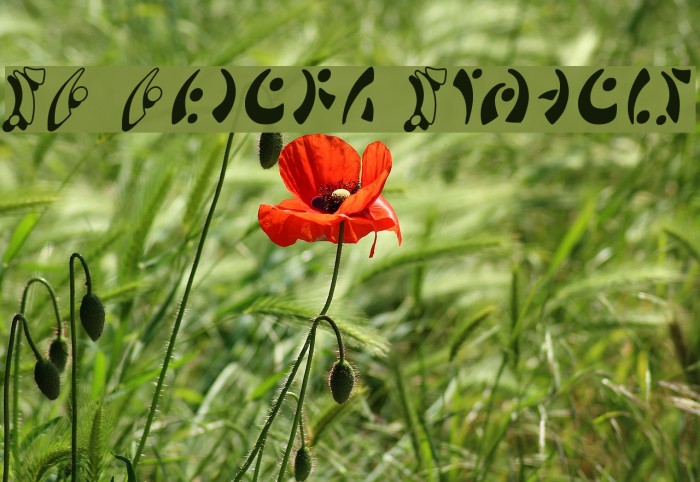 SF Fedora Symbols Font examples