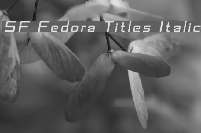SF Fedora Titles Italic examples