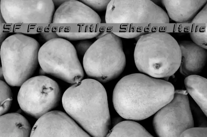 SF Fedora Titles Shadow Italic Font examples