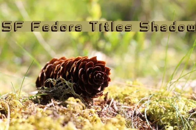 SF Fedora Titles Shadow Example 1