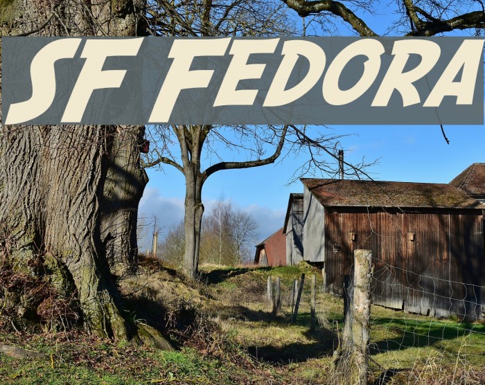 SF Fedora Шрифта examples