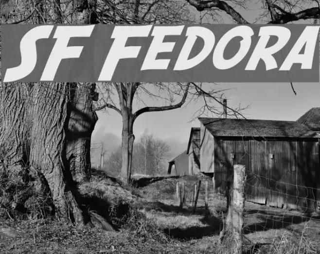SF Fedora Шрифта examples