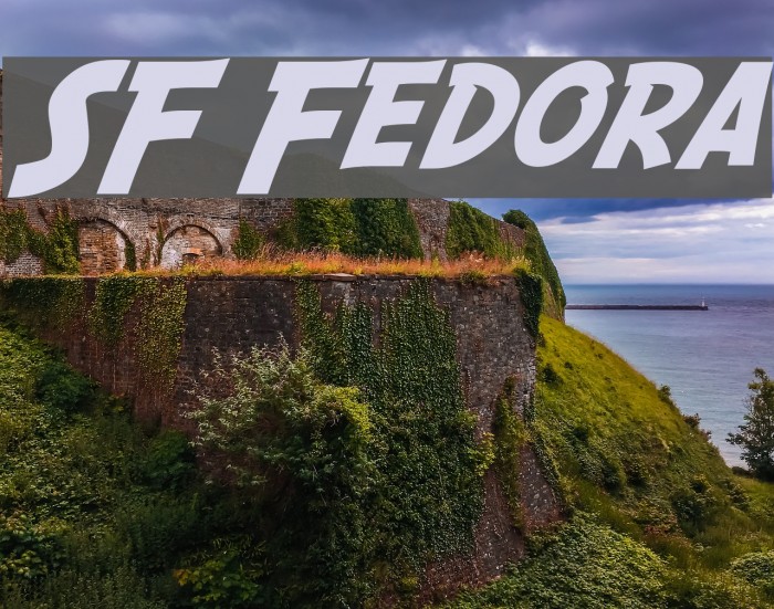 SF Fedora Шрифта examples
