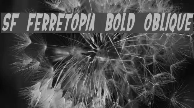 SF Ferretopia Bold Oblique Font examples