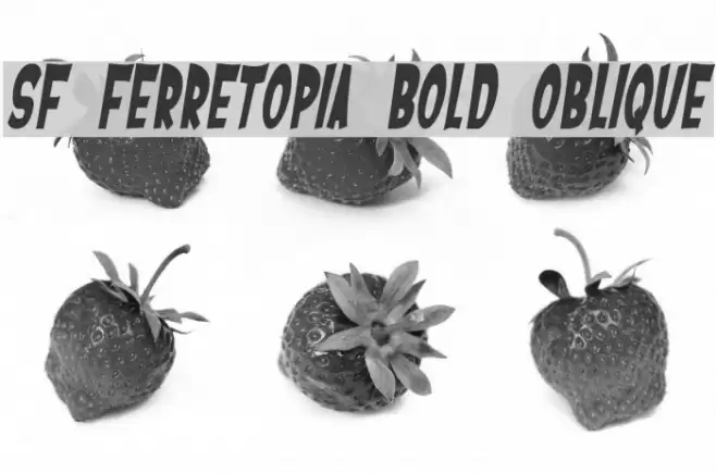 SF Ferretopia Bold Oblique Font examples