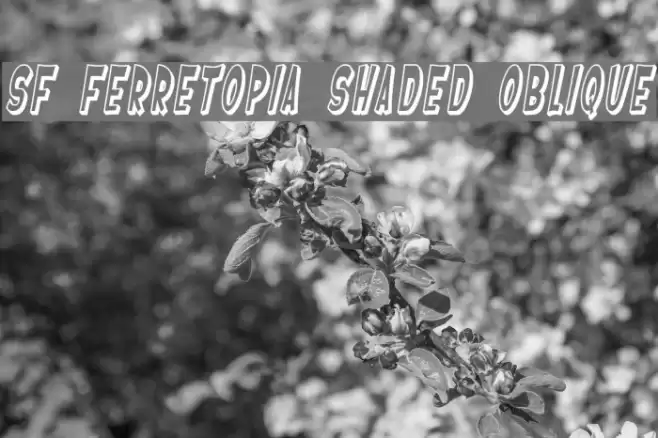 SF Ferretopia Shaded Oblique Font examples