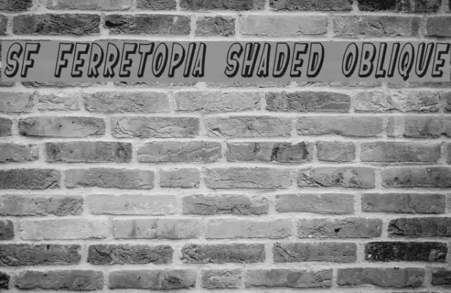 SF Ferretopia Shaded Oblique Font examples