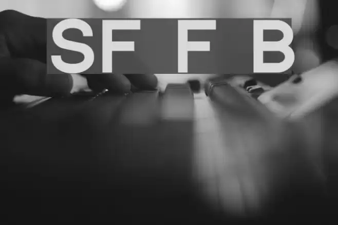 SF Florencesans Black Font examples