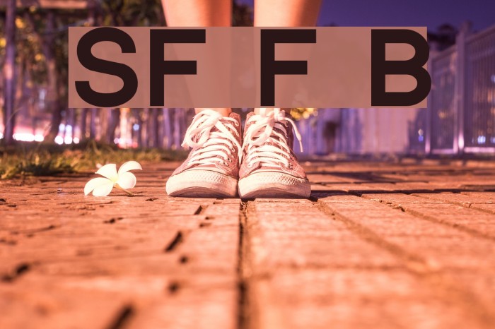 SF Florencesans Black Font examples
