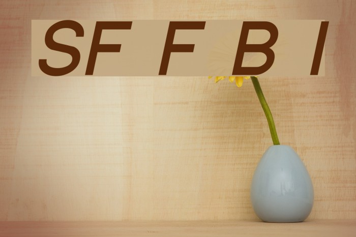 SF Florencesans Bold Italic Font examples