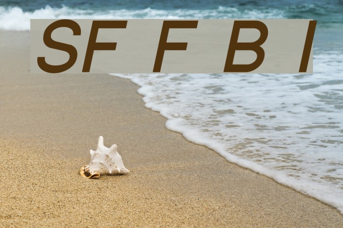 SF Florencesans Bold Italic Font examples