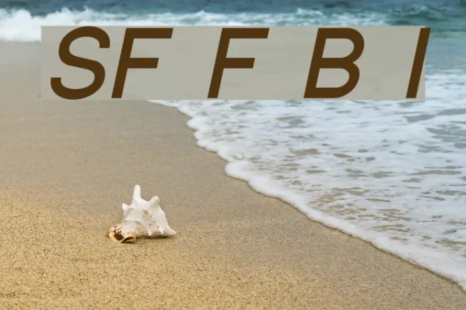 SF Florencesans Bold Italic Example 3