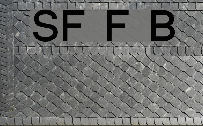 SF Florencesans Bold Font examples