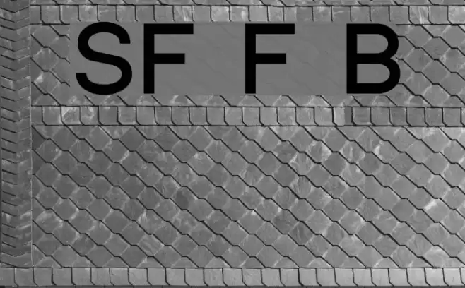 SF Florencesans Bold Font examples