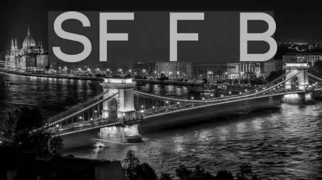 SF Florencesans Bold Font examples