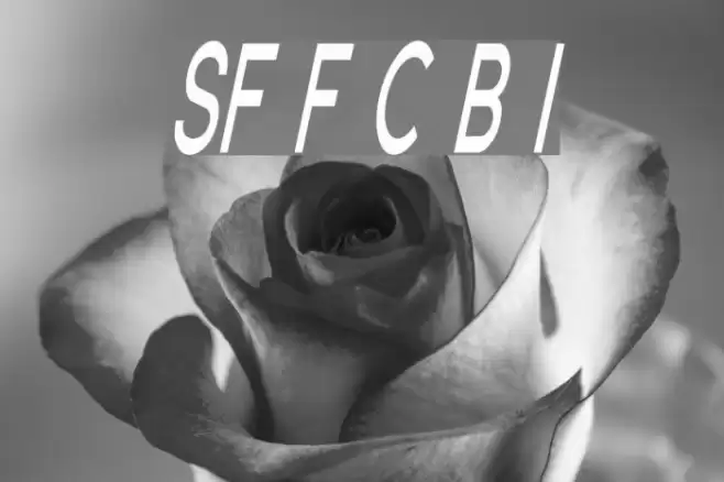 SF Florencesans Comp Bold Italic Font examples