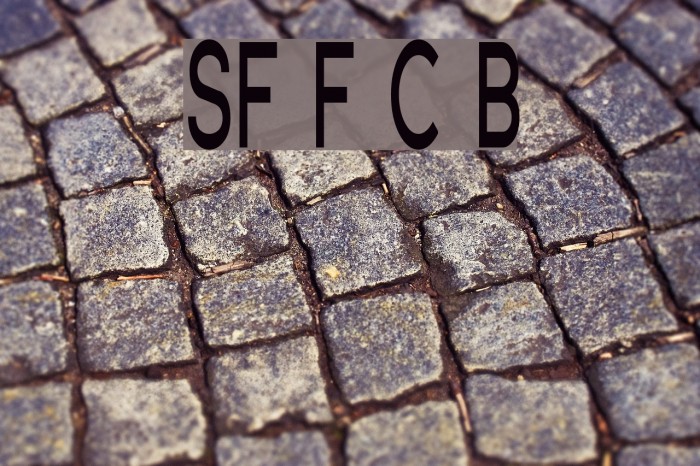 SF Florencesans Comp Bold Font examples