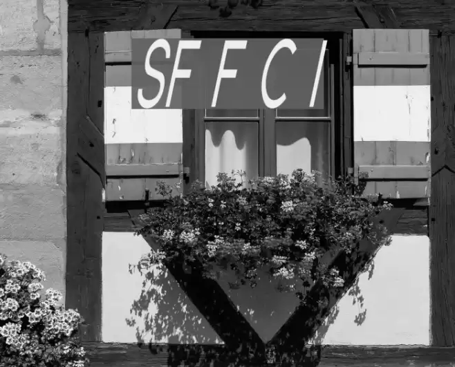 SF Florencesans Comp Italic Font examples