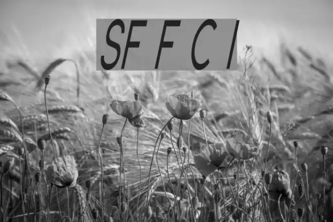 SF Florencesans Comp Italic Font examples