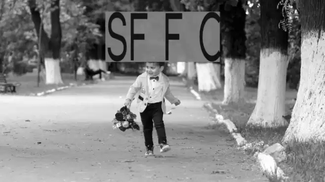 SF Florencesans Comp Font examples