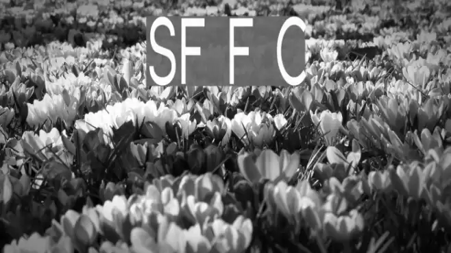 SF Florencesans Comp Font examples